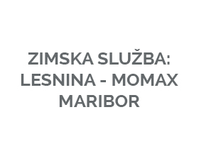 Zimska služba Lesnina - Momax Maribor
