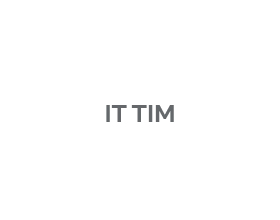 IT TIM